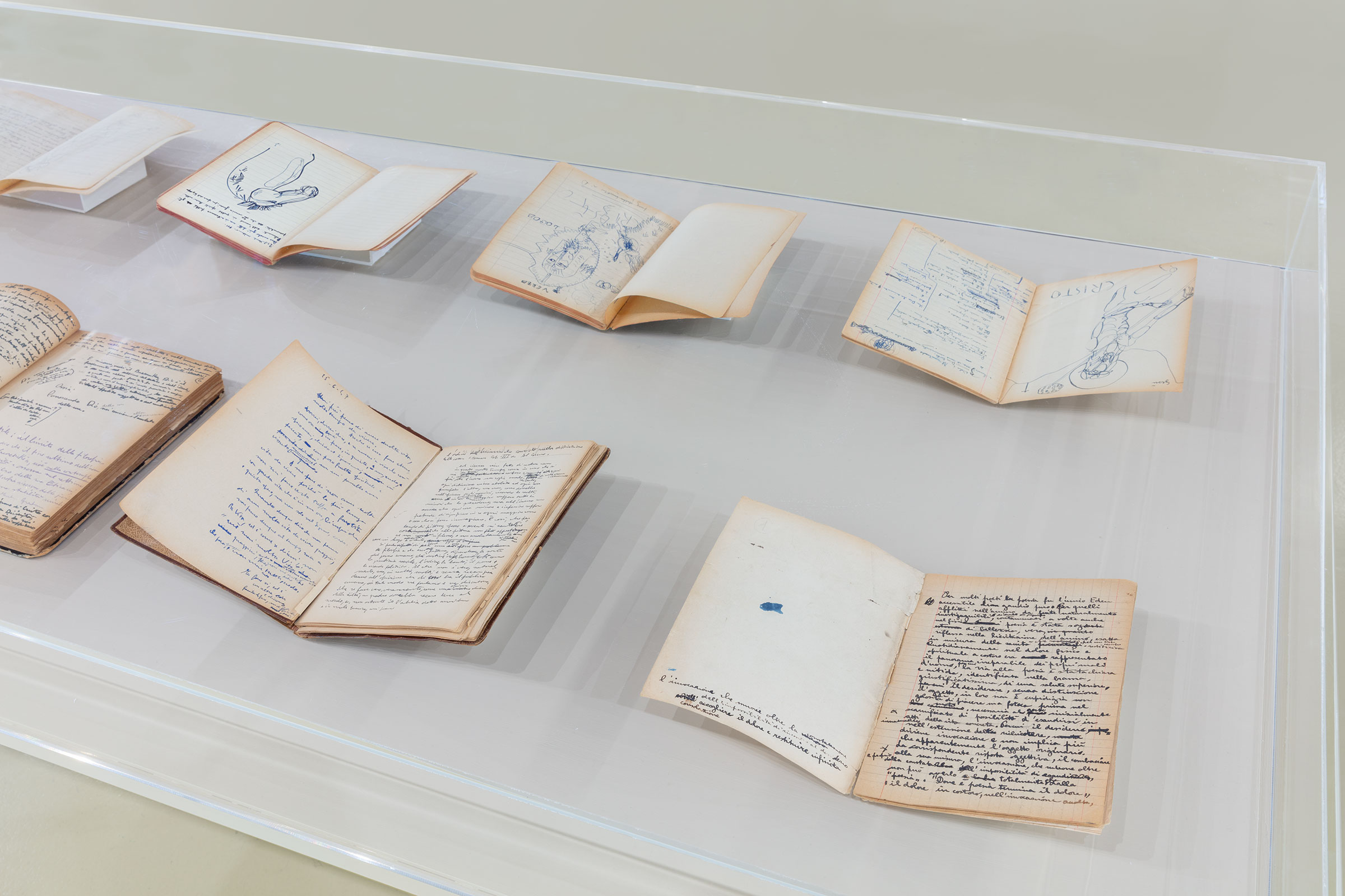 u0022Fabio Mauri. Esperimenti nella verifica del Male / Experiments in the verification of evilu0022, vetrina